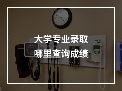 大学专业录取哪里查询成绩