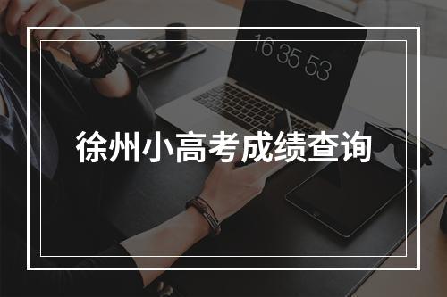 徐州小高考成绩查询