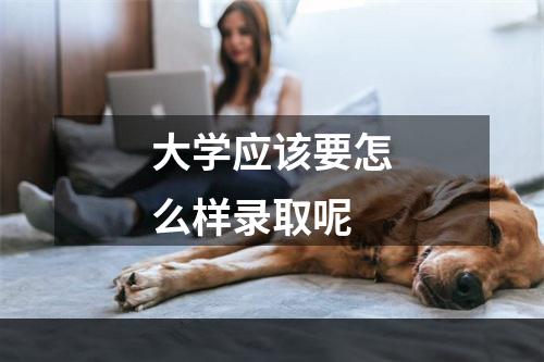 大学应该要怎么样录取呢