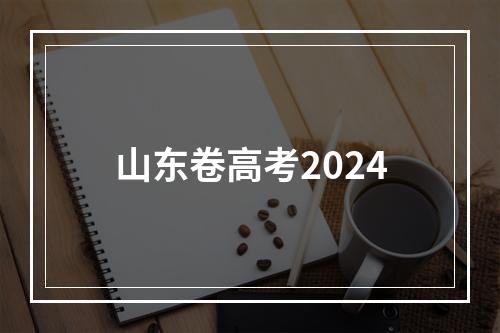 山东卷高考2024