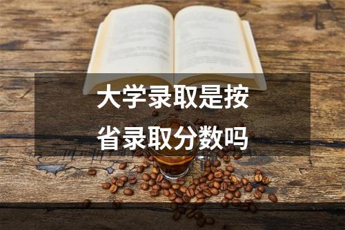 大学录取是按省录取分数吗