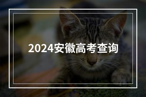 2024安徽高考查询