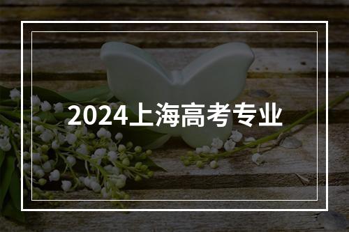 2024上海高考专业