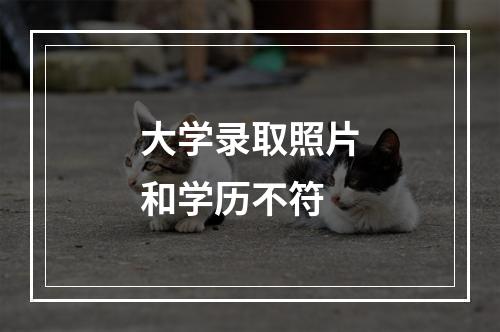 大学录取照片和学历不符