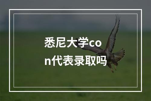 悉尼大学con代表录取吗