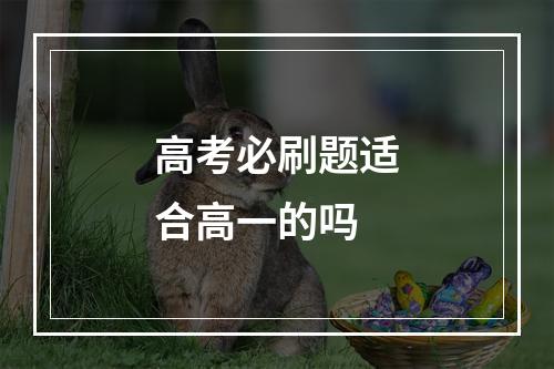 高考必刷题适合高一的吗