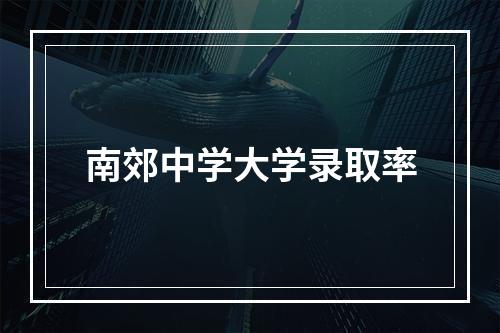 南郊中学大学录取率