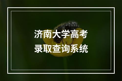 济南大学高考录取查询系统