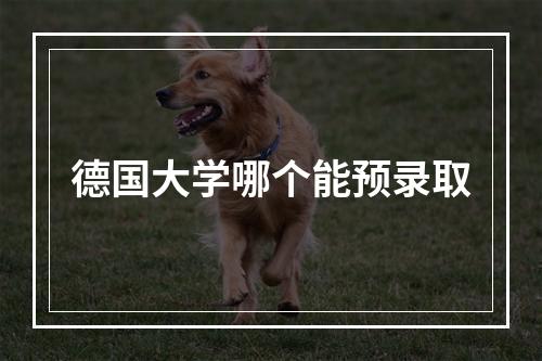 德国大学哪个能预录取