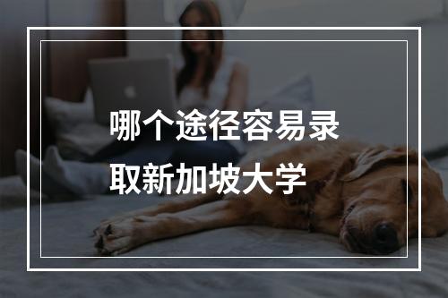 哪个途径容易录取新加坡大学