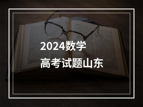 2024数学高考试题山东