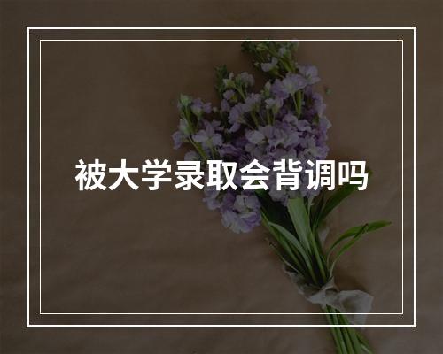 被大学录取会背调吗