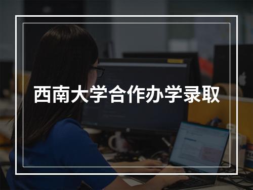 西南大学合作办学录取