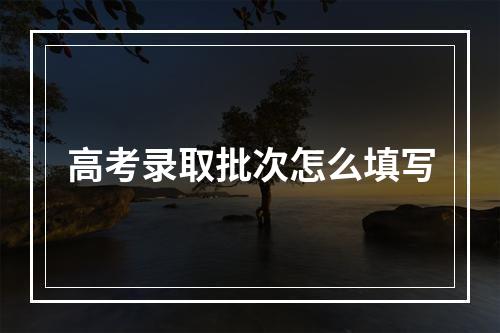 高考录取批次怎么填写