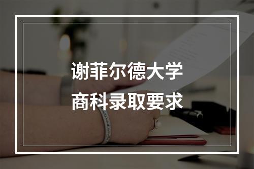 谢菲尔德大学商科录取要求