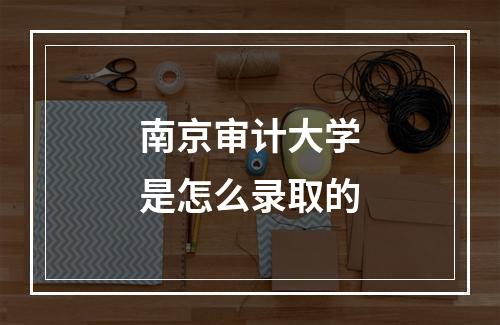 南京审计大学是怎么录取的