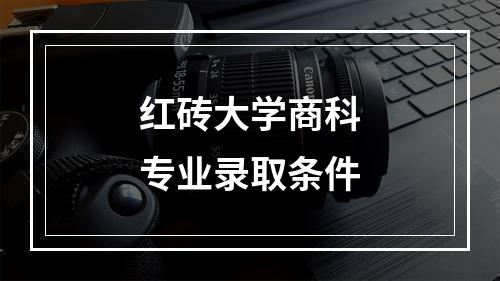 红砖大学商科专业录取条件