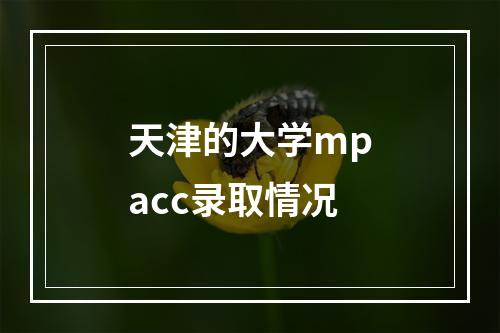 天津的大学mpacc录取情况