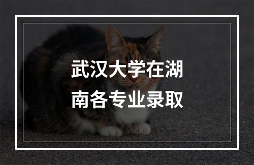 武汉大学在湖南各专业录取