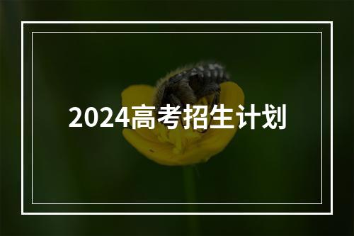 2024高考招生计划