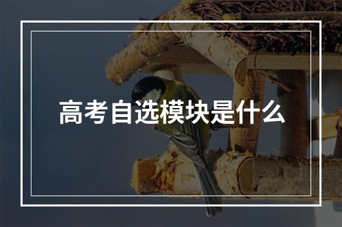 高考自选模块是什么