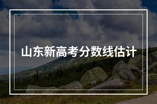 山东新高考分数线估计