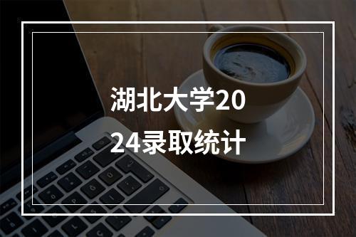 湖北大学2024录取统计