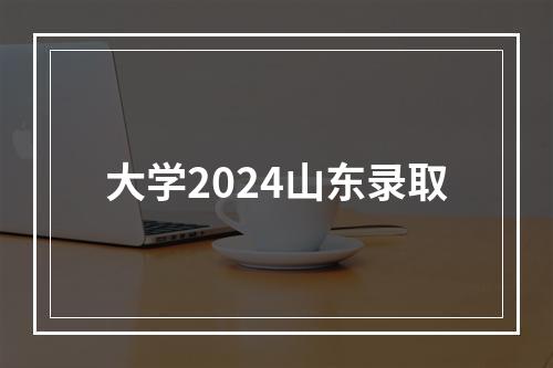 大学2024山东录取