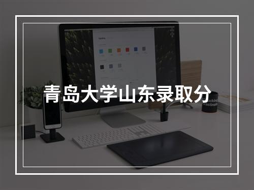 青岛大学山东录取分