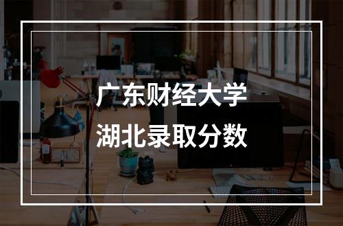 广东财经大学湖北录取分数