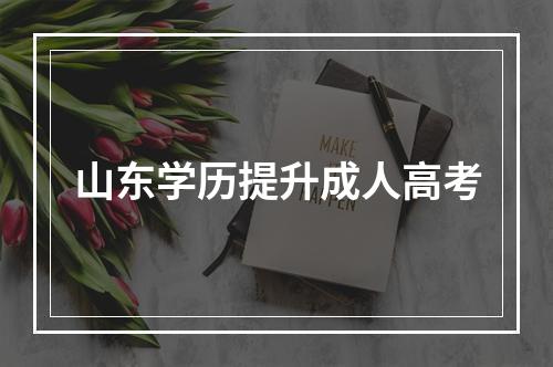 山东学历提升成人高考