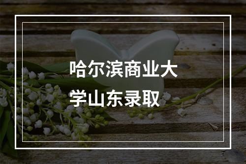 哈尔滨商业大学山东录取