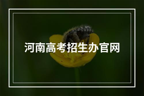 河南高考招生办官网