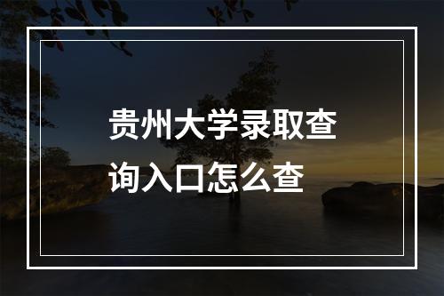 贵州大学录取查询入口怎么查