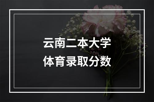 云南二本大学体育录取分数