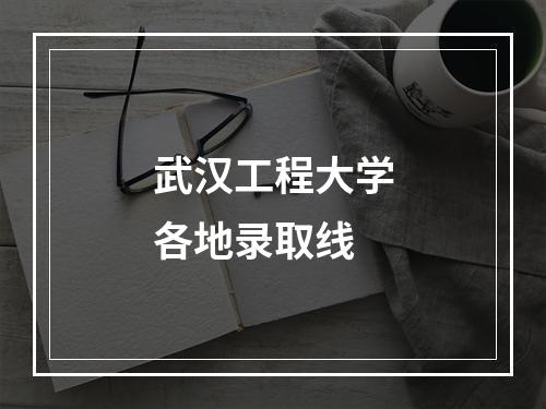 武汉工程大学各地录取线