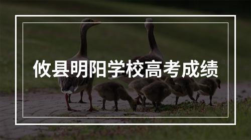 攸县明阳学校高考成绩