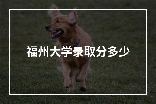 福州大学录取分多少