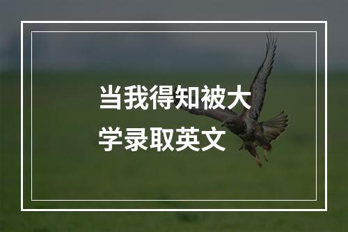 当我得知被大学录取英文