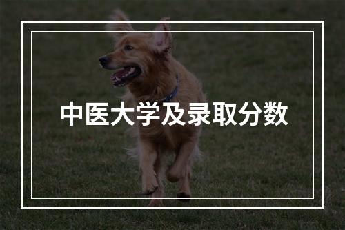 中医大学及录取分数