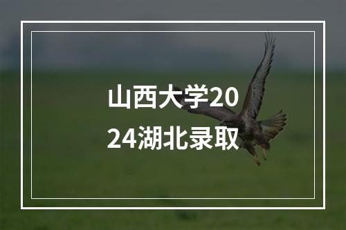 山西大学2024湖北录取