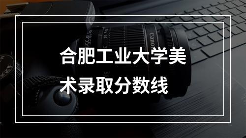 合肥工业大学美术录取分数线