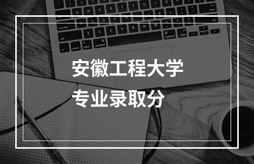 安徽工程大学专业录取分