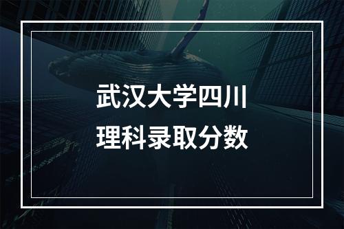 武汉大学四川理科录取分数