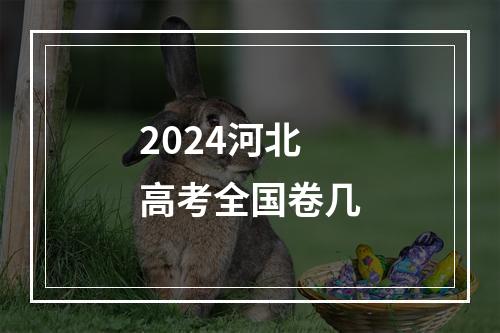 2024河北高考全国卷几