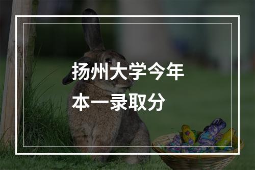 扬州大学今年本一录取分