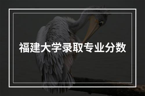 福建大学录取专业分数