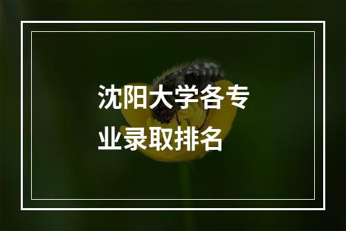 沈阳大学各专业录取排名