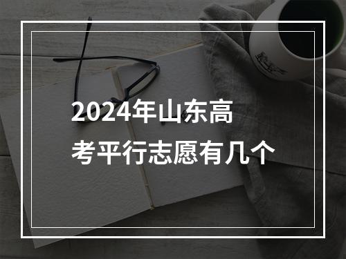 2024年山东高考平行志愿有几个