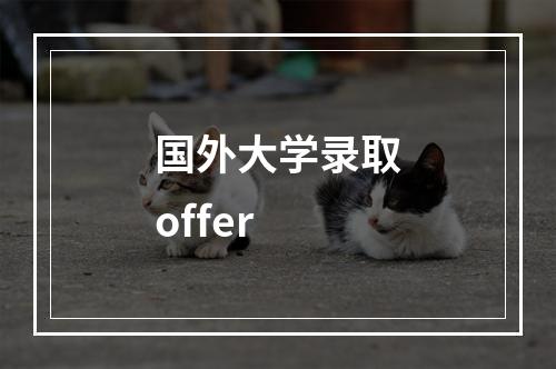 国外大学录取offer